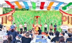 鱼米五宝“丰”景如画 重庆江北丰收节圆满举行
