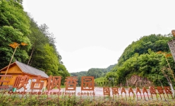 万州十大必打卡景点新鲜出炉 解锁文化旅游新体验