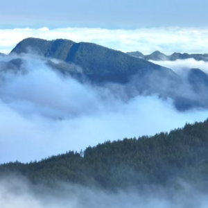 奉节雨后初晴 高山云海醉游人