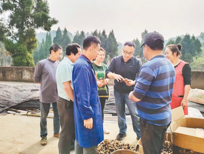 微信截图_20250826063221