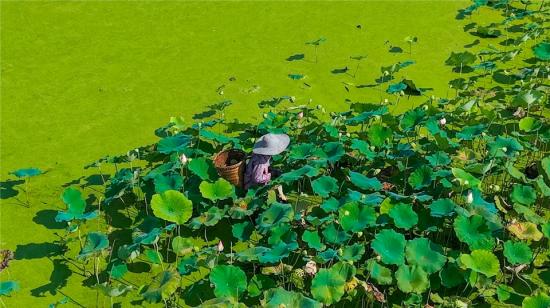 20250917101244600295