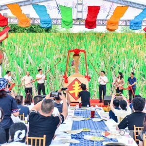 鱼米五宝“丰”景如画 重庆江北丰收节圆满举行