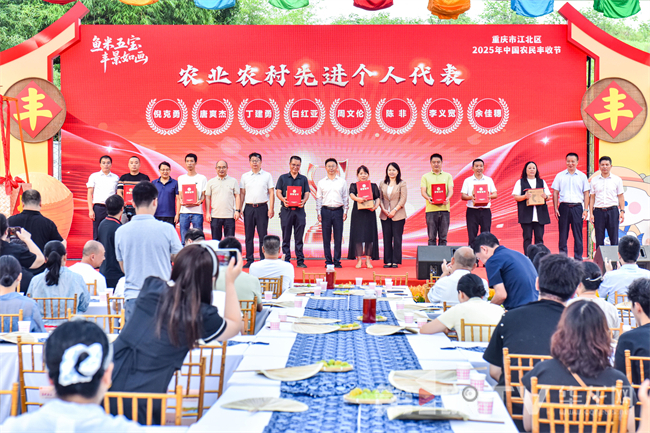 农业农村先进个人代表。第1眼TV-华龙网 姬一鸣 摄
